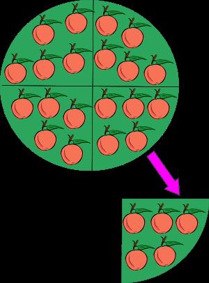 División (matemática)