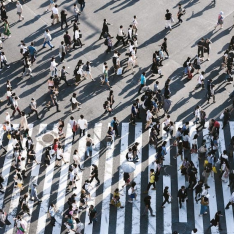 Reflexiones sobre los cambios y las perspectivas de la Sociedad tras la disrupción de la pandemia