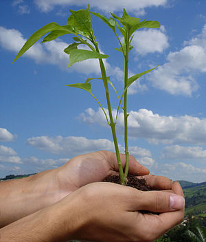 Día Mundial del Medio Ambiente