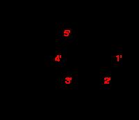 Directionality (molecular biology)