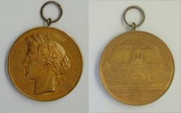 Medalla conmemorativa de la Exposición Universal de 1878