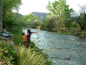 Embudo River