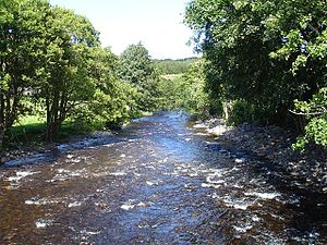 River Vyrnwy