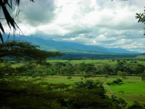 Meta (Colombia)