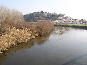 Río Jarama