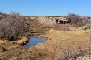 Amargosa River