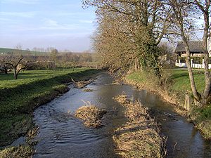 Saulx (river)