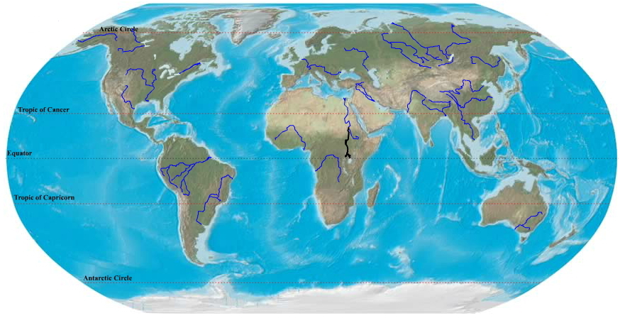 Longest rivers in the world. Ilike2learn