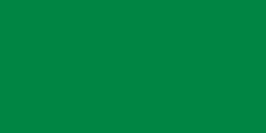 Libro verde (Gadafi)