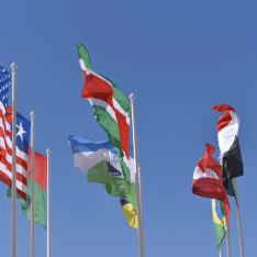 Covid-19 y geopolítica: primeros impactos