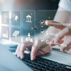 ¿Qué es la sostenibilidad empresarial?