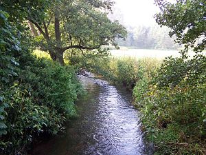 Bourne Brook