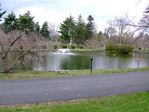 Lexington Cemetery