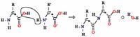 Polyamide