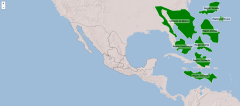 Rexións do México