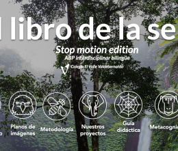 El libro de la selva: stop motion edition