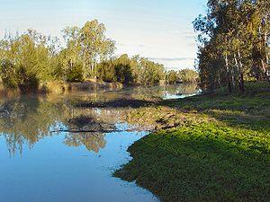 Mitchell, Queensland