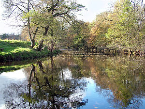 Río Derwent (Derbyshire)