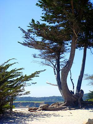 Carmel-by-the-Sea