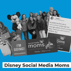 Disney Social Media Moms