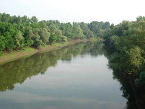 Körös River