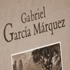 Literatura hispanoamericana: lírica y narrativa