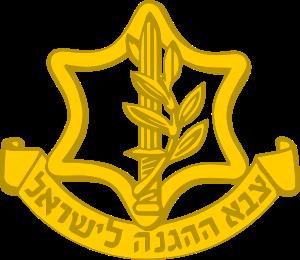 Israel Defense Forces