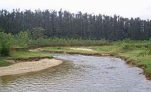 Río Hemavathi