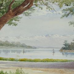 Vista de un lago