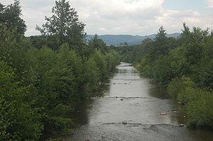 Nitra (river)