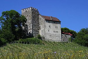 Castillo de Habsburgo