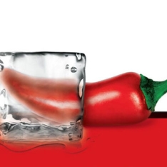 Viernes de lectura: How Cool Brands Stay Hot Viernes de lectura: How Cool Brands Stay Hot
