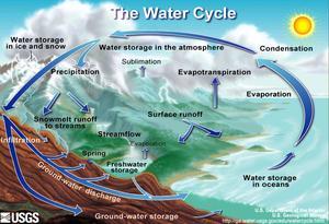 Biogeochemical cycle