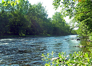 Neversink River