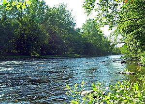 Neversink River