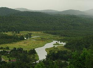 Saranac River