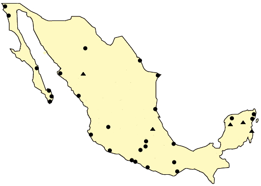 Tourist destinations of Mexico. Lizard Point