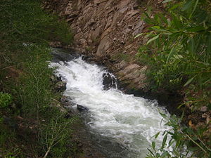 Red River (New Mexico)