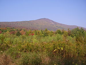 Taconic Mountains