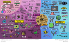 O mapa das matemáticas