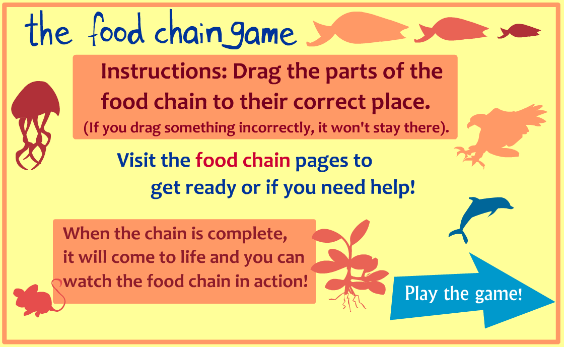 Kid's Corner - Food Chain Game. Juego digital cadena alimentaria
