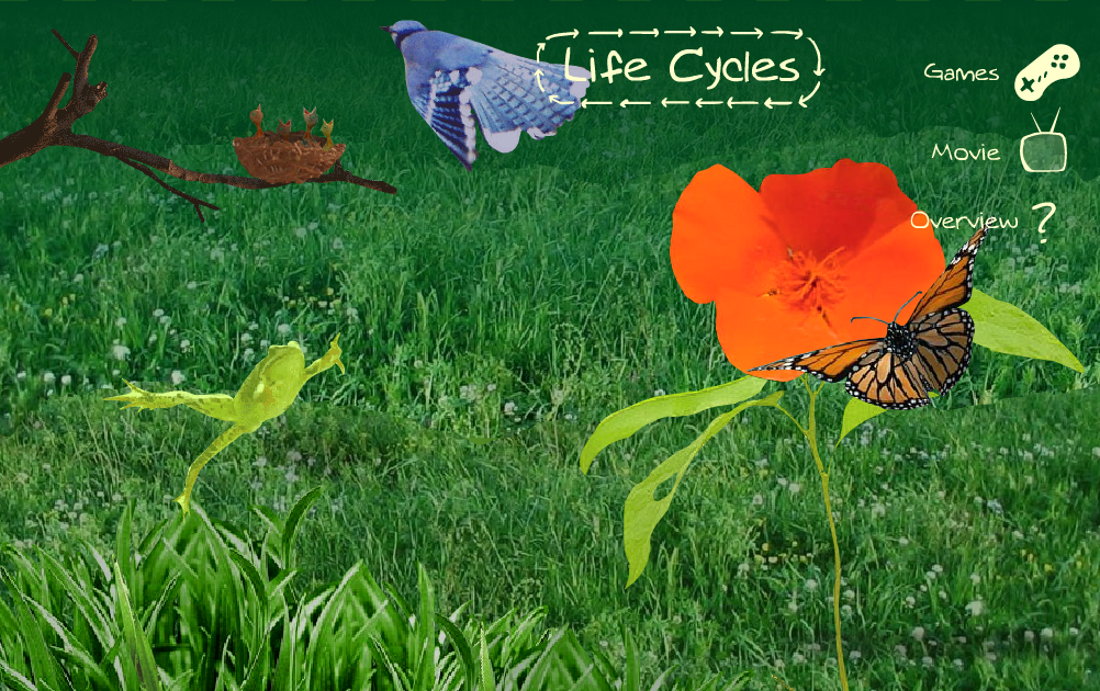 Sheppard Software's Life-Cycles: Learn about different animal life-cycles. Ciclo de la vida en inglés