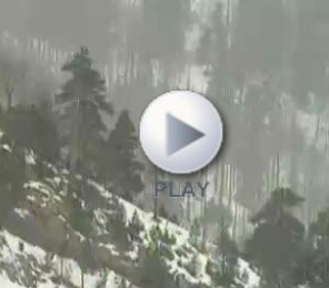 Pirineo: Nuestros bosques alpinos (Bosques Españoles)
