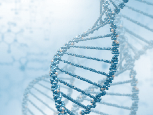 7 interesantes curiosidades sobre el mundo de la genética