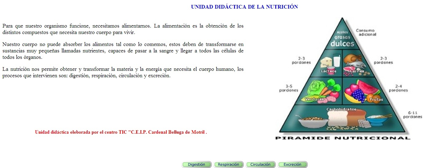 La Función De Nutrición I Didactalia Material Educativo 7202