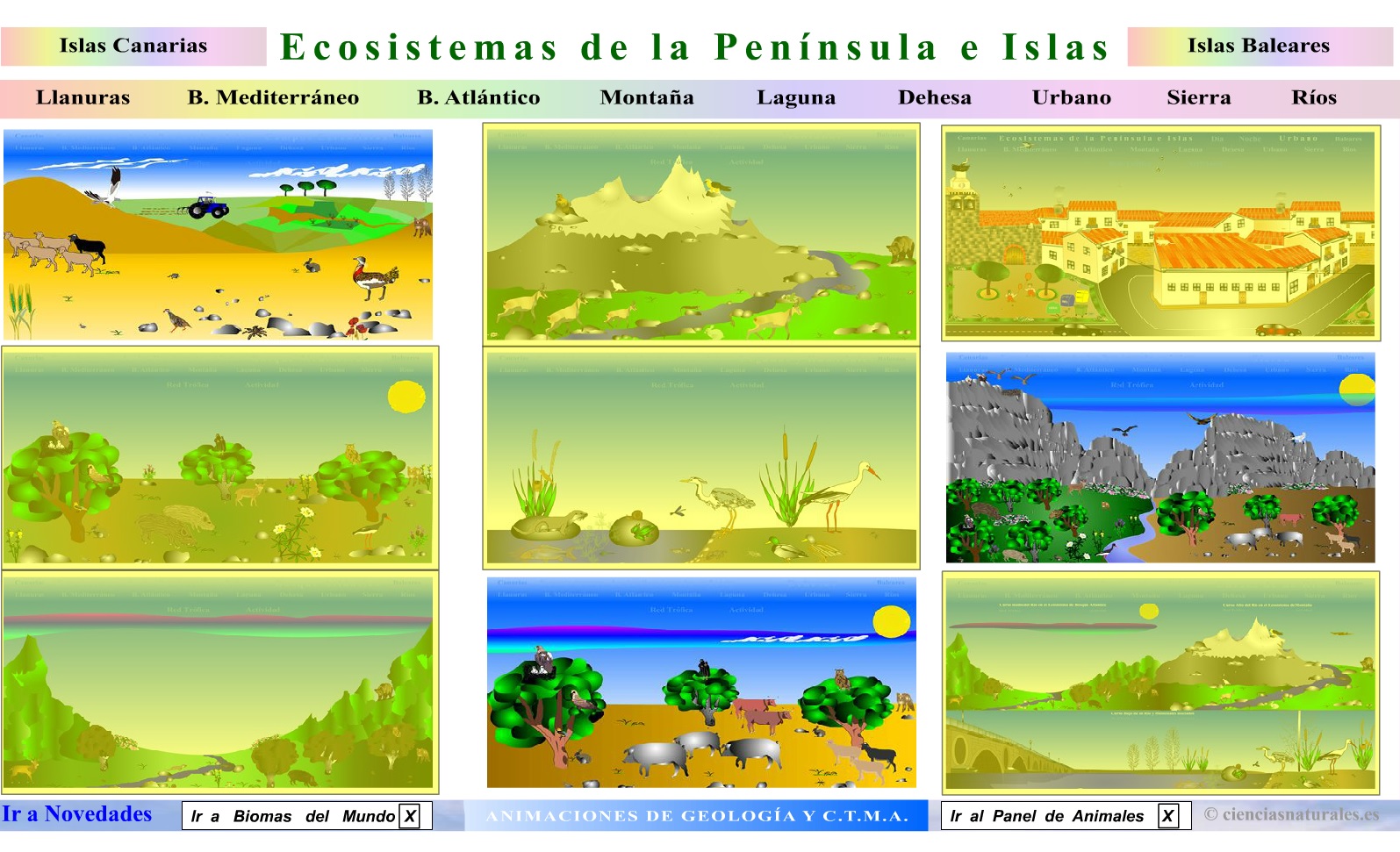 Los 7 Ecosistemas