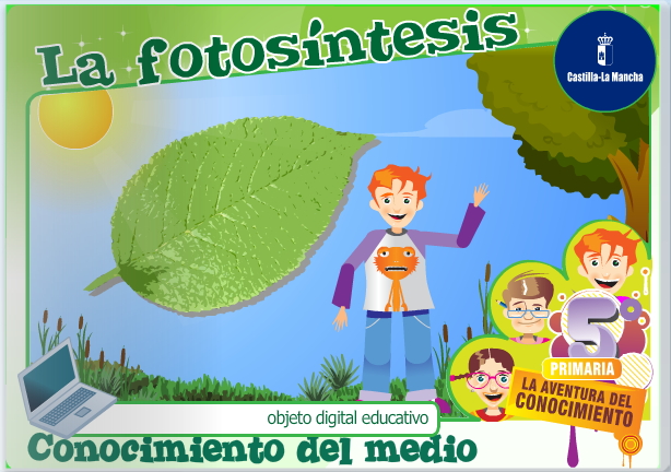 La fotosíntesis (Cuadernia) - Didactalia: material educativo
