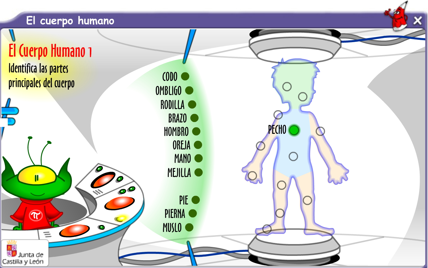 Mamut Limo cáncer Las diferentes partes del cuerpo humano - Didactalia: material educativo