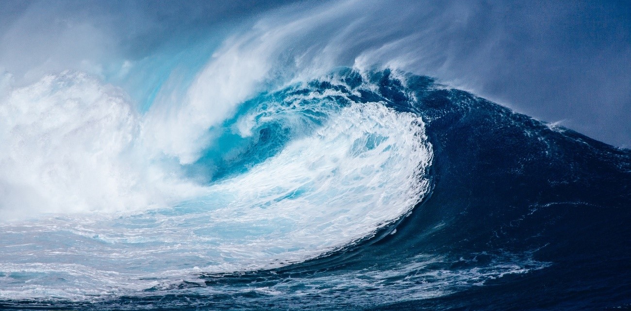 Por qué se forman las olas | Artículo científico 