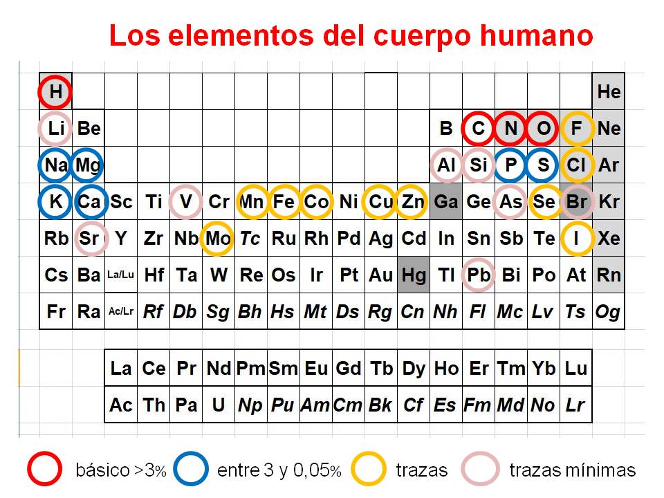 La tabla periódica de los elementos en un solo alimento. Investigación y Ciencia